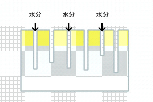 無数の小孔